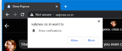 remove Valynex.co.in