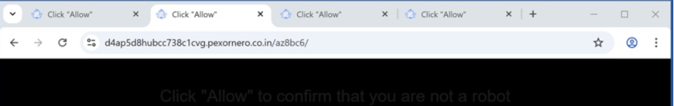 Remove pexornero.co.in